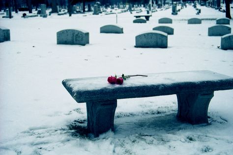 Roses in the snow tell the story of a missed appointment at the graveyard in winter. Shallow Grave Aesthetic, Winter Graveyard, Coquette Graveyard, Amelia Bones, Worm Food, Snow Graveyard, Snowy Graveyard Aesthetic, Black And White Graveyard, Random Idea