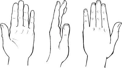 Hand Drawing Reference Side View, How To Draw Hands Side View, Hand Drawing Side View, Side Hand Drawing, Hand Side View Drawing, Hand From The Side, Hand Side View, Hand Outline, Side View Drawing