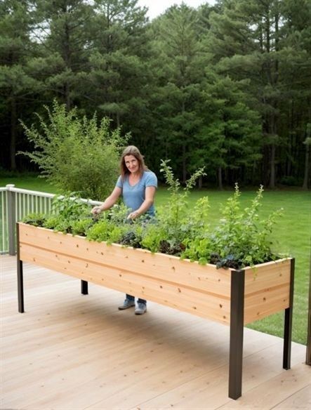 Outdoor Raised Planters, Elevated Planter Box Ideas, Elevated Planter Boxes Diy, Apartment Vegetable Garden, Vegetable Planter Boxes, Elevated Planter, Home Garden Ideas, Elevated Planter Box, Elevated Gardening