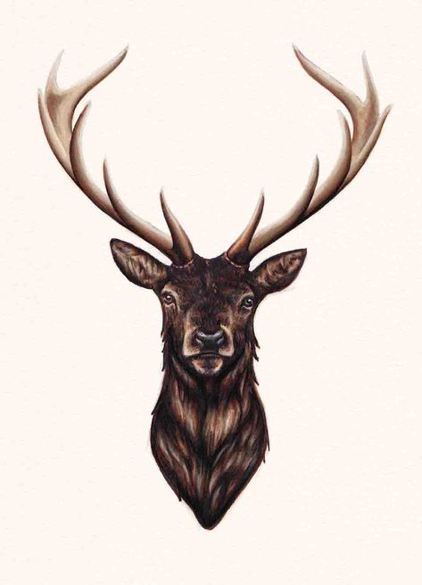 Like the darkness & how intense it is - I would like the antlers to be shaded a bit lighter than the body Stag Head Tattoo, Wolf Sketch Tattoo, Stag Tattoo Design, Tattoo Planets, Edinburgh Tattoo, Deer Head Tattoo, Elk Tattoo, Deer Sketch, Stag Tattoo