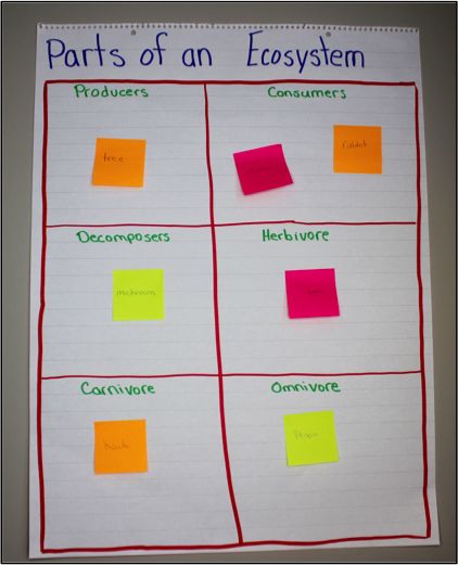 10 Activities to Teach Ecosystems - Ashleigh's Education Journey Ecosystems Activities, Create An Ecosystem Project, Ecosystems 4th Grade, Ecosystem Lessons, Ecosystem Activities Middle School, Changes In Ecosystems Activities, Ecosystem Vocabulary, Classroom Science Experiments, Teaching Ecosystems