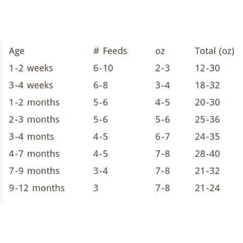 How much should baby be eating? Baby Food Chart By Age, Baby Chart, Baby Food Chart, Food Chart, Newborn Baby Care, Baby Information, Baby Facts, Baby Prep, Baby Advice