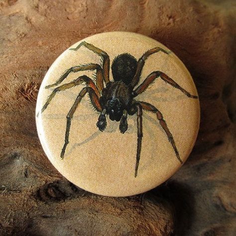 Hobo Spider, Rock Painting Supplies, Cute And Creepy, Spider Crafts, Painted Rock Animals, Rock Flowers, Stone Art Painting, Spider Art, Gemstone Art