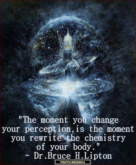 "The moment you change your perception is the moment you rewrite the chemistry of your body." Dr. Bruce H. Lipton Artistic Poetry, Bruce Lipton, A Course In Miracles, Quantum Physics, New Energy, Akita, A Quote, The Science, Spiritual Journey