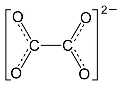 Difference Between Oxalate and Oxalic Acid Check more at https://in4arts.com/difference-between-oxalate-and-oxalic-acid.html Oxalate Diet, Green Smoothie Cleanse, Oxalic Acid, Raw Spinach, Smoothie Cleanse, Chemical Structure, Gut Microbiota, Medicine Journal, What The Heck