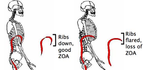 Screen Shot 2015-09-10 at 1.05.55 AM Rib Flare Correction, How To Get Rid Of Flared Ribs, How To Get Rid Of Rib Flare, Rib Flare Before And After, Rib Flare Exercises, Rib Workout, Flared Ribs, Shoulder Range Of Motion, Punkty Spustowe