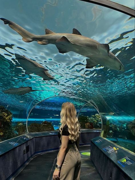 Toronto Zoo Canada, Toronto Picture Ideas, Aquarium Pictures Ideas, Aquarium Photo Ideas, Aquarium Instagram Pictures, Aquarium Poses, Vacation Photo Ideas Instagram, Aquarium Outfit Ideas, Toronto Aquarium