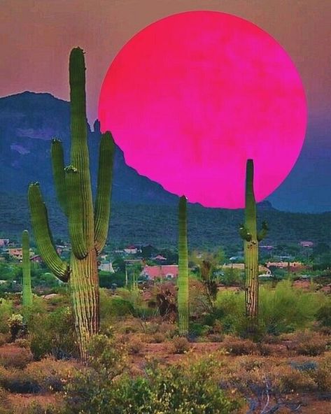 Collage Sunset, Sara Shakeel, Desert Aesthetic, Haunting Beauty, Art Coquillage, Desert Vibes, Desert Art, Love Fairy, Sunset Aesthetic