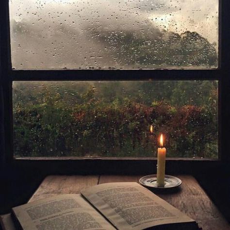 Fall Photography Nature, Haunted Tree, Cozy Rainy Day, Steve Mccurry, Candles Photography, Autumn Rain, Candle Aesthetic, Winter Nature, Autumn Nature