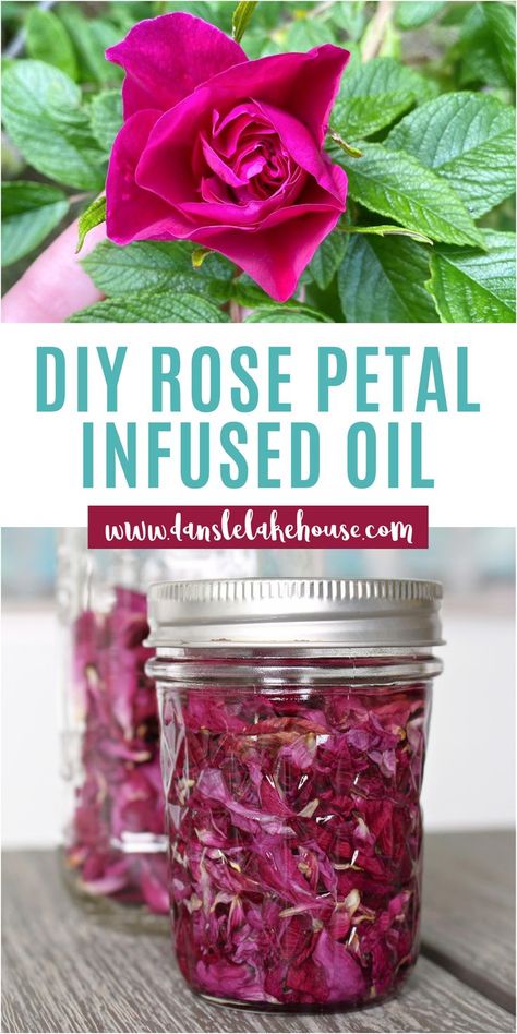 Make your own rose petal infused oil with fresh roses from the garden or dried rose petals. Homemade rose petal oil can be used in DIY skin care or DIY lip balms. Check out the tutorial to find the recipe for DIY rose petal infused skin salve and DIY rose petal infused skin salve. DIY rose petal skin salve and DIY rose petal lip balm are both super hydrating and really easy to make! Rose Oil Diy, Rose Skin Care, Flower Infused Oil, Rose Petal Uses, Fresh Rose Petals, Rose Lip Balm, How To Make Rose, Diy Beauty Treatments, Infused Oil