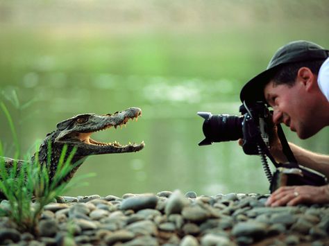 Nature Photographer Joel Sartore, National Geographic Photographers, Photography Career, Freelance Jobs, National Geographic Magazine, Animal Species, National Geographic Photos, Nature Photographs, Extra Income