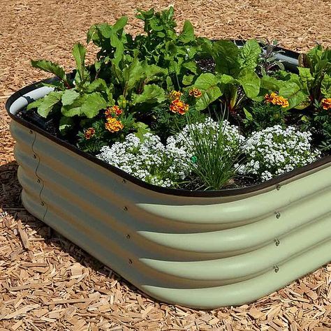 Outdoor Planter Boxes, Metal Raised Garden Beds, Garden Plots, Trough Planters, Steel Planters, Types Of Vegetables, Garden Equipment, Green Oval, Cold Frame