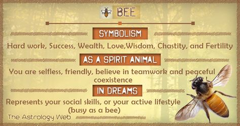 Bee Symbolism Spirit Animal Dream Bee Spiritual Meaning, Bee Meaning, Red Bee, Spirit Animal Meaning, Animal Meanings, Spirit Animal Totem, Spiritual Animal, Animal Spirit Guides, Animal Medicine