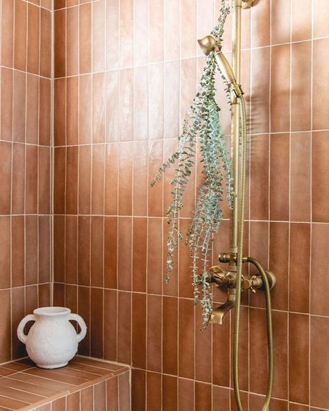 Terracotta Bathroom Tiles, Terracotta Tiles Bathroom, Desert Bathroom, Southwestern Bathroom, Terracotta Bathroom, Southwestern Bedroom, Arid Landscape, Newport House, Bedrosians Tile