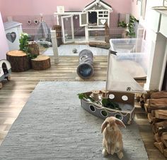 25 More Amazing Pet Set Ups - Wow Gallery Bunny Hutches, Diy Bunny Cage, Indoor Rabbit House, Rabbit Enclosure, Rabbit Habitat, Pet Rabbit Care, Katt Grejer, Bunny Hutch, Bunny Room