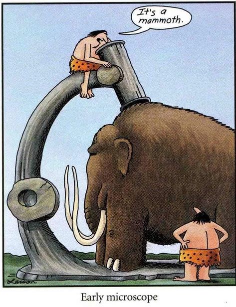 Funny Cartoons Pictures, Cartoons Pictures, Gary Larson Far Side, Gary Larson Cartoons, Science Cartoons, Far Side Cartoons, Far Side Comics, Gary Larson, Funny Cartoon Pictures