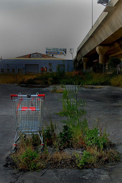 Abandoned Shopping Trolley 22 Abandoned Shopping Center, Abandoned Shopping Cart, Abandoned Shop, Apocalypse Au, Shopping Carts, Liminal Space, Shopping Trolley, American Gothic, Crop Circles