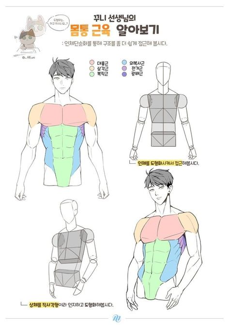 Anime Man Pose Reference, How To Draw Male Torso, Male Body Tutorial, How To Draw Male Bodies, Anime Body Tutorial, Draw Body Tutorial, Anatomy Drawing Tutorial, Drawing Chest, Drawing Male Anatomy