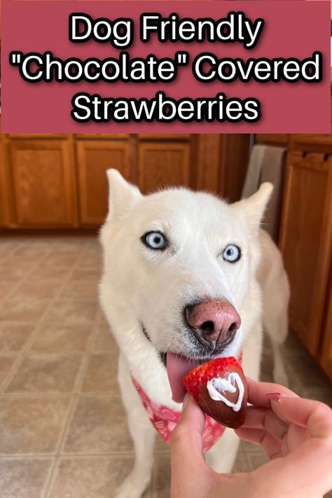 Dog Chocolate Covered Strawberries, Bananas For Dogs, Making Chocolate Covered Strawberries, Strawberry Gluten Free, Chocolate Clusters, Chocolate Covered Bananas, Carob Powder, Making Chocolate, Chocolate Dipped Strawberries