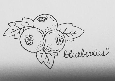 Simple Fruit Drawings, Blueberry Drawing Simple, Blueberries Drawing, Doodles Sharpie, Blueberry Drawing, Blueberries Fruit, Fruit Doodle, Fruit Art Drawings, Fruit Aesthetic