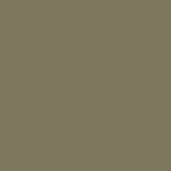 Denali Green Paint Color DE6237 | Dunn-Edwards Paints Neutral Living Room Colors, Benjamin Moore Green, Tan Paint Colors, Princess Costumes For Girls, Princess Fancy Dress, Tan Paint, Pantone Colors, Green Paint Colors, Grey Paint