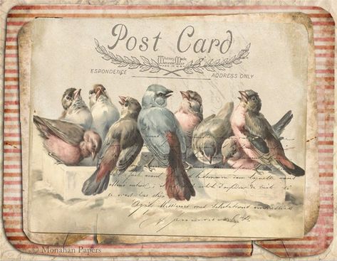 Red Stripe Birds | Sweet & Sassy Stary Papier, Images Victoriennes, Etiquette Vintage, Images Vintage, Vintage Birds, Vintage Printables, Decoupage Paper, Vintage Labels, Post Card