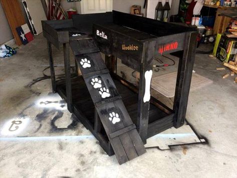 Pet Bunk Bed, Pallet Dog Bed, Dog Bunk Beds, Pet Diy Projects, Raised Dog Beds, Diy Chat, Pallet Dog Beds, Dogs Diy Projects, Pallet Beds