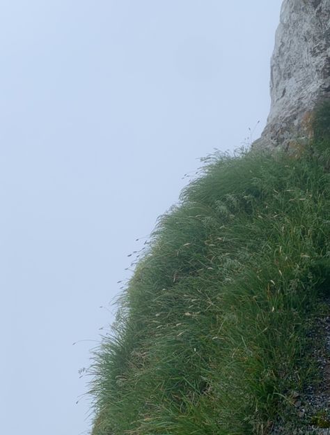 Grassy Cliff, Me Aesthetic, Green Grass, Aesthetic Photo, Country Roads, Road, Green