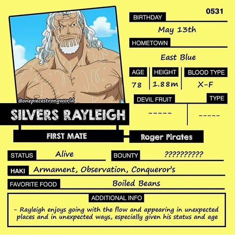 Silvers Rayleigh, Pieces Facts, One Piece Bounties, Susanoo Naruto, One Piece Series, One Piece 1, One Piece Funny, Harley Quinn Art, One Piece Comic