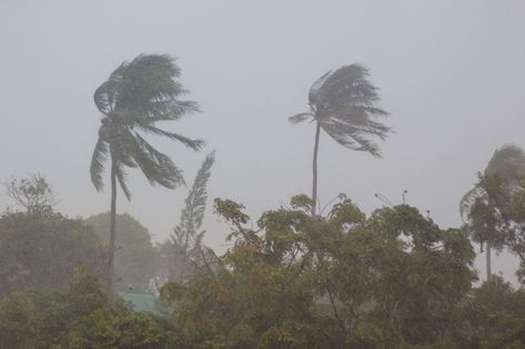 Thailand hit by worst tropical storm in 30 years Hot Desert, Storm Surge, New Brighton, Tropical Storm, Gulf Of Mexico, Natural Disasters, Houston, Around The Worlds, Nature