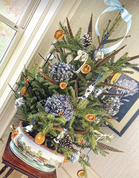 Blue And White Footbath, Potted Christmas Tree, Potted Christmas Trees, White Pot, Deck The Halls, Christmas Is Coming, Christmas Trees, Christmas Time, Christmas Holidays