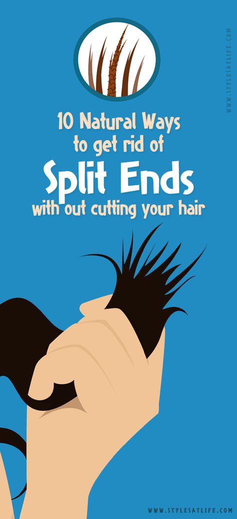 How To Get Rid Of Split Ends, Split Ends Trimming, Split End Remedy, Split Ends Repair, Frizzy Hair Tips, Old Tee Shirts, Split Ends Hair, Best Hair Oil, Hair Masks