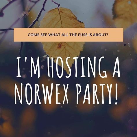 Day Party Flyer, Norwex Party, Scentsy Independent Consultant, Independent Consultant, Online Parties, Scentsy Consultant, Fall Party, Day Party, Party Flyer