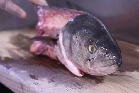 Jamaican fish head soup. We ended up making it more like a chowder because that is just what my family defaults to making Fish Head Stew, Jamaican Fish, Fish Head Soup, Candy Apple Recipe, Fish Ideas, Jamaican Dishes, Jamaican Food, Fish Head, Seafood Stew