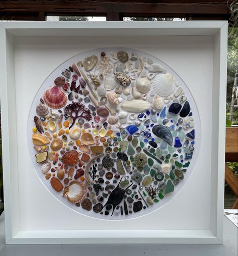 Shell art beachcombing finds in a colour wheel Beach Finds Art, Shell Mosaic Art, Beachcombing Art, Beachcombing Finds, Shell Wall Art, Seashell Art Diy, Shell Artwork, Sea Glass Art Projects, Seashell Projects