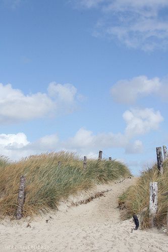 Beach Path, Beach Grass, Denmark Travel, Cap Ferret, Coastal Life, Coastal Beaches, Beach Landscape, Sunset Beach, Nature Aesthetic