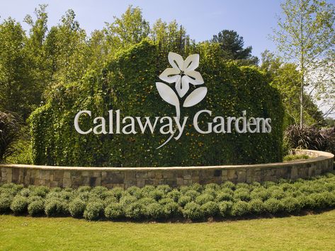 You Should Plan a Trip to Callaway Gardens This Summer | There’s a spirit of adventure and a connection to nature you can’t help but catch at Callaway. Lagrange Georgia, Georgia Summer, Callaway Gardens, Stone Mountain Park, Pine Mountain, Southern Pride, Kids Around The World, Summer Trip, All I Ever Wanted