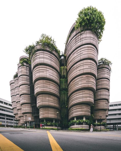 Heatherwick Studio, Nanyang Technological University, Thomas Heatherwick, Presentation Backgrounds, Basket Uses, The Hive, Amazing Buildings, Game Concept Art, Dim Sum