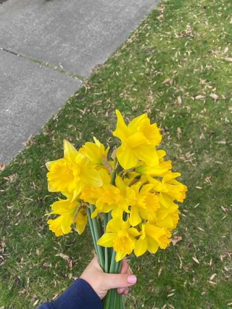 #daffodils #spring #flowers #aesthetic Flower Bouquet Daffodils, Daffodil Aesthetic, Daffodils Aesthetic, Flower Time Lapse, Bouquet Of Daffodils, Spring Flowers Aesthetic, Narcissus Flowers, Daffodil Bouquet, Beginners Gardening