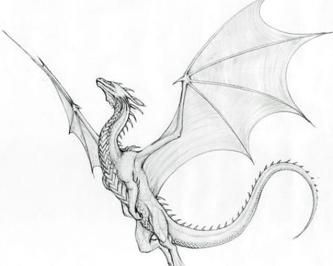 Dragon Tattoo Drawing, Small Dragon Tattoos, Dragon Tattoo For Women, Dragon Sketch, Dragon Tattoo Designs, Dragon Pictures, Dragon Artwork, Dragon Drawing, A Dragon