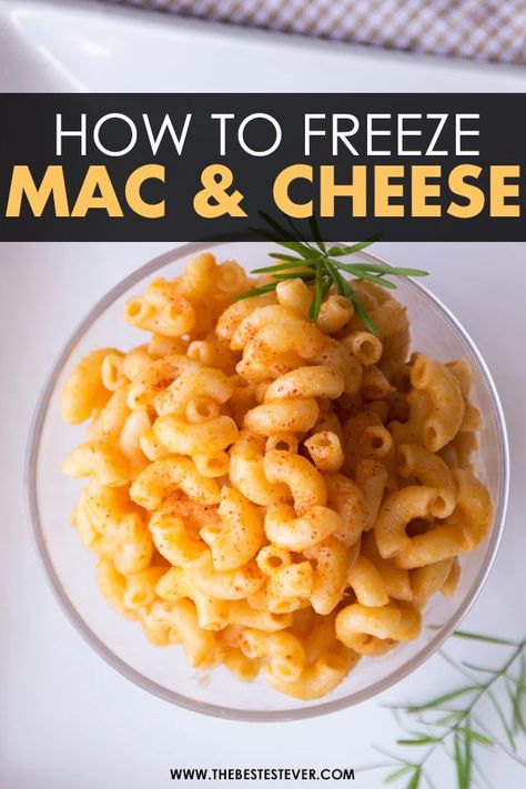 Want to know how to properly freeze mac and cheese? This short guide will give you step-by-step instructions to properly prepare baked and stove top macaroni and cheese for freezing. #macandcheese #macaroniandcheese #cookingtips Freezing Mac And Cheese, Can You Freeze Macaroni And Cheese, Freeze Macaroni And Cheese, Homade Mac And Cheese, Homeade Mac And Cheese, Mac Cheese Baked, Mac Abd Cheese, Cheese Sauce For Macaroni, Stove Top Macaroni And Cheese