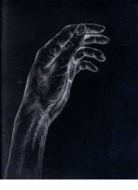 White Charcoal Drawing White Art On Black Paper, Things To Draw On Black Paper, White Sketch On Black Paper, Charcoal Hands, Sketch On Black Paper, White Charcoal Drawing, Black Paper Art, Charcoal Ideas, Black Drawing