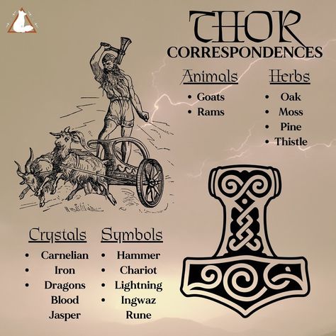 Thor Correspondences and some items in the shop. Full list of items for Thor in the shop #thor #norsegods #heathen #pagan #witch Thor God Norse Mythology, Thor God Of Thunder Norse Mythology, Thor Offerings, Thor Altar, Thor Norse Mythology, Thor Symbol, List Of Deities, Pagan Deities, Thor Tattoo