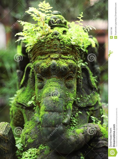 Buddha Statue Garden, Moss Growing, Ganesh Wallpaper, Moss Garden, Garden Decorations, 판타지 아트, Lord Ganesha, Tropical Garden, Garden Statues