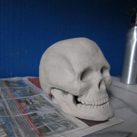 Human Skull my sixth sculpture in clay, made to use as reference when doing heads as I cant afford to buy a skeleton Air Dry Clay Skull Tutorial, Clay Skeleton Sculpture, Air Dry Clay Skull, Skull Clay Sculpture, Head Sculpture Clay, Skeleton Clay, Clay Skeleton, Ceramic Skeleton, Skeleton Sculpture