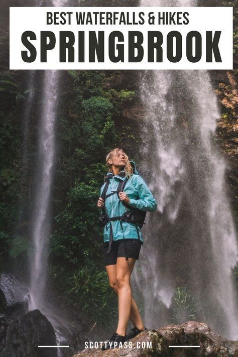 Discover the best hikes & waterfalls in Springbrook National Park Australia right here. #springbrooknationalpark #springbrook #goldcoasthikes Springbrook National Park, Springbrook National Park Australia, Glow Worms, Hiking Nature, Hiking National Parks, Waterfall Hikes, Best Hikes, Gold Coast, National Park