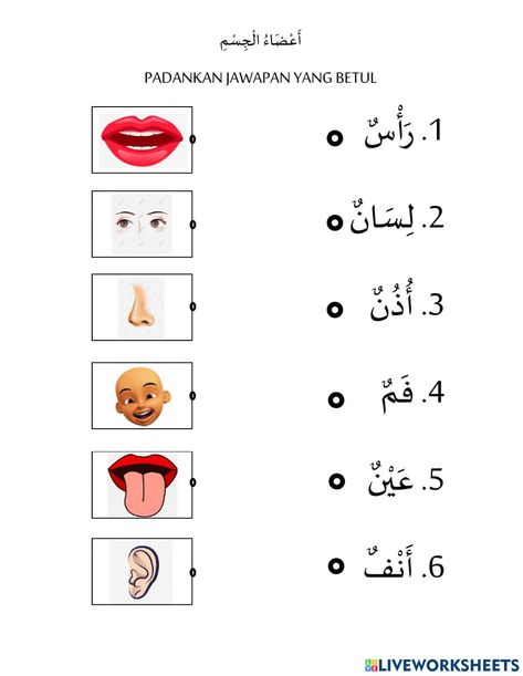 Anggota Badan interactive worksheet for Pra Sekolah. You can do the exercises online or download the worksheet as pdf. Part Of The Body In Arabic, Bahasa Arab Prasekolah, Kg1 Activities, Arabic Numbers, Learn Arabic Alphabet, The Worksheet, Arabic Alphabet For Kids, Bahasa Arab, Learn Arabic