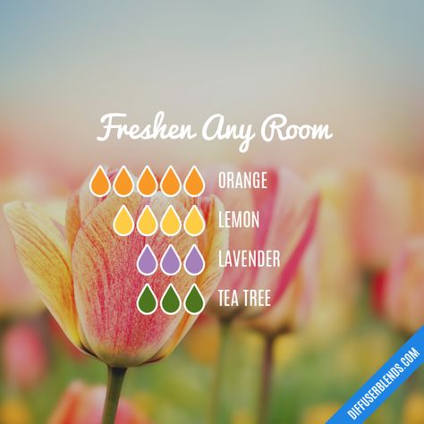 Fresh room #diffuser Lilin Aroma, Essential Oil Combinations, Doterra Essential Oils Recipes, Essential Oil Diffuser Blends Recipes, Essential Oil Remedy, Essential Oils Guide, Essential Oils Cleaning, Essential Oil Diffuser Recipes, Yl Essential Oils