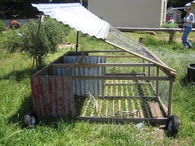 Three Part Plot: Joel Salatin Workshop Chicken Breeder Pens, Rabbit Tractor Diy, Quail Tractor, Rabbit Tractor, Clean Chicken Coop, Raising Rabbits For Meat, Joel Salatin, Rabbit Pen, Outdoor Rabbit Hutch