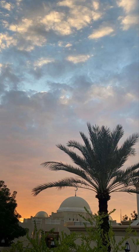 Sunset
Cloudy
Mosque
Palm tree
Blue sky Sunset Mosque, Mosque Aesthetic, Sunset Pictures, Room Decor Ideas, The Sunset, Vision Board, Decor Ideas, Room Decor, Quick Saves